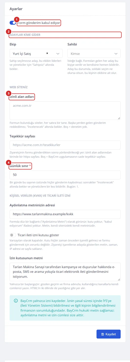 Web Formu sayfasının Ayarlar kartı: açma anahtarı, ekip ve sahip, izinli alan adları, teşekkür sayfası ve günlük sınır.